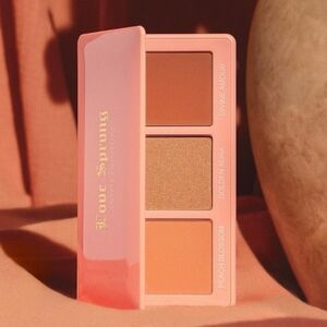 Artist Couture LOVE SPRUNG Palette VIII in Volume 3 | NEW | Vol 3 V3 Burnt Blush